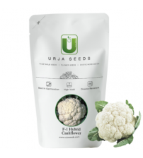 Cauliflower Agri-1 25 grams